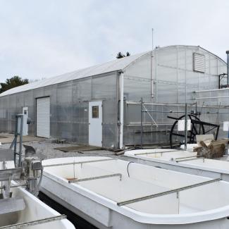 Photo of the CAER greenhouse